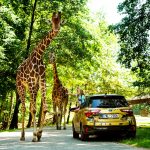 21176331ce6a7645ad8eb46d10996f12585432f1